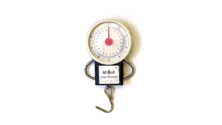 Eagle Claw 50 lb. Dial Scale & Tape Measure