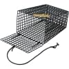 SMI Tapered Bait Cage - Style: 19101