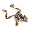 Chasebaits Bobbin' Frog - Style: 02